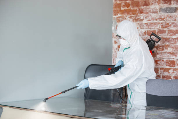 Best Industrial Mold Remediation in USA